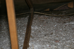 IMG_1595, West Eave, Completely Trampled, Insulation Gone.JPG
